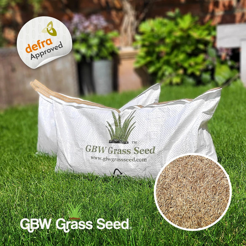Grass Seed Covers Premium Quality Fast Growing Hard Wearing Lawn 1 Kg 35 Sqm 